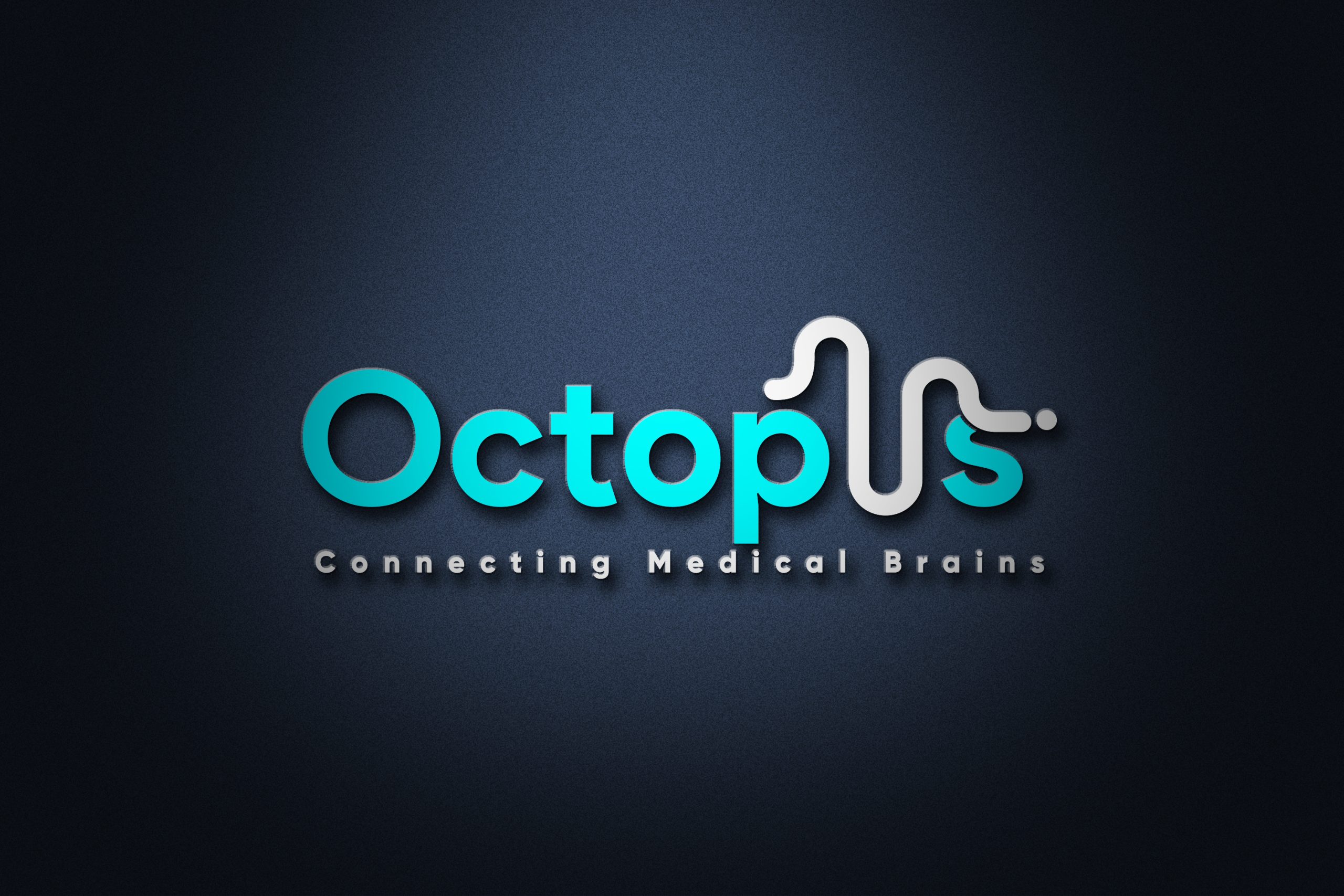 Octopus (4)