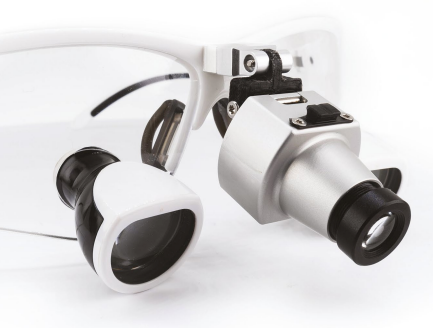 Camara Octopus 3